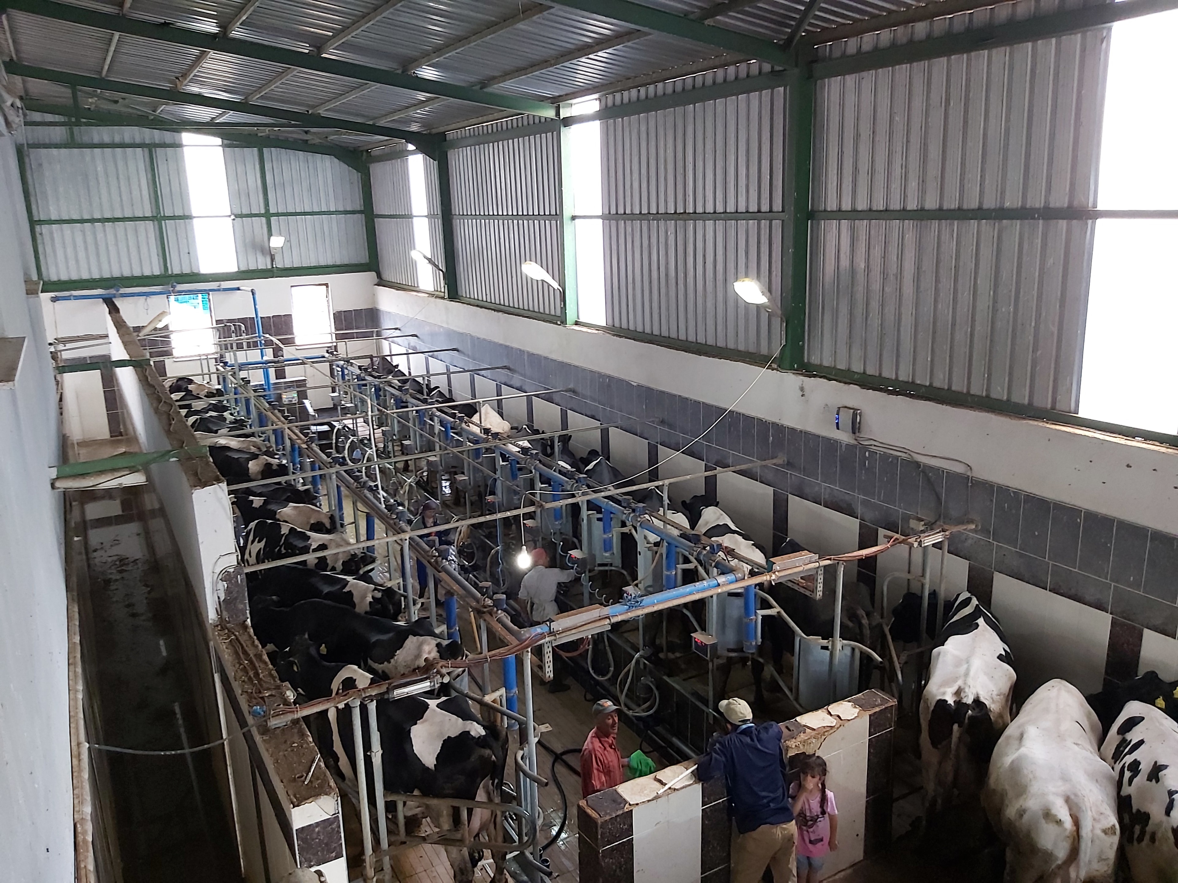 Livestock Equipment