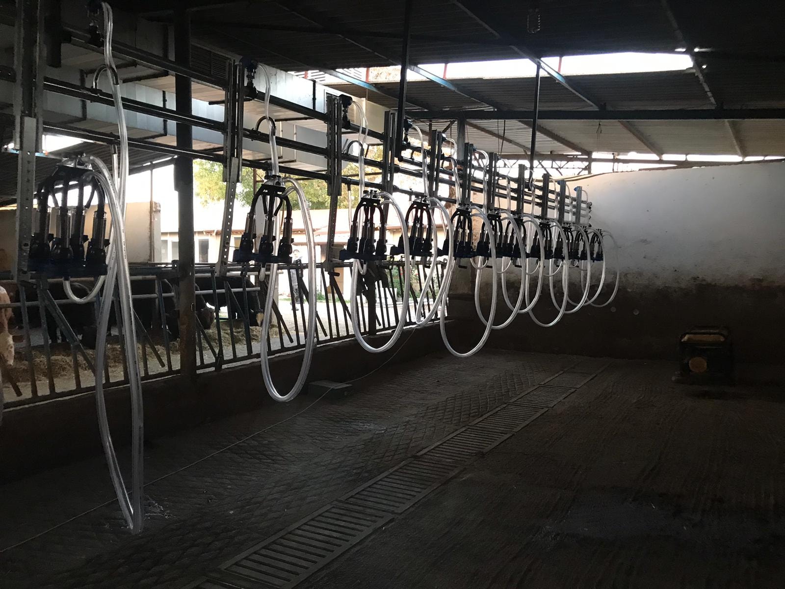 Milking Systems