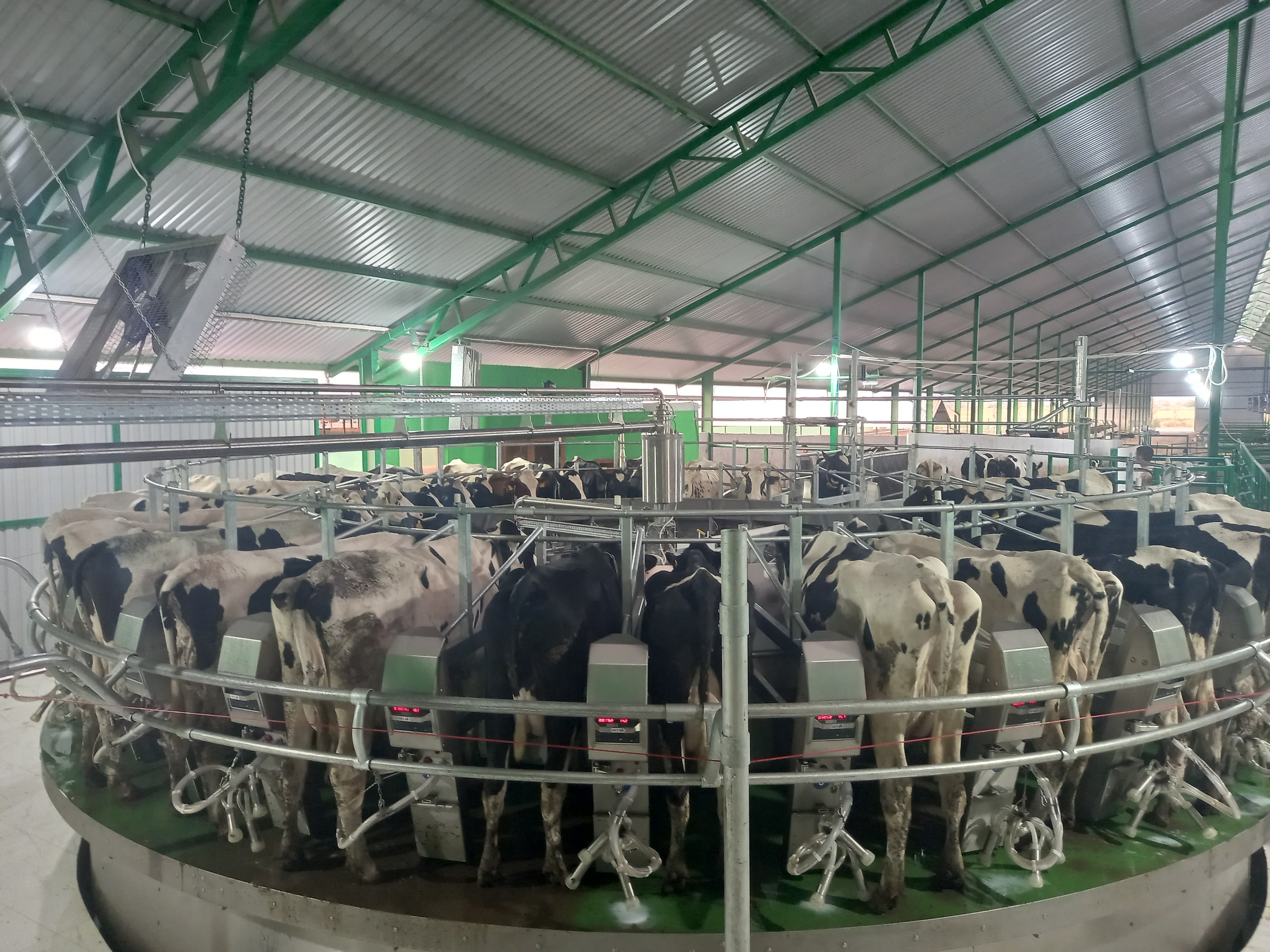 Rotary Milking System