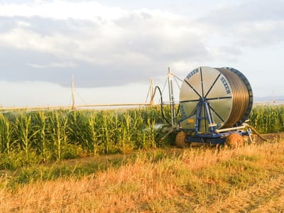 Hose Reel Irrigation System